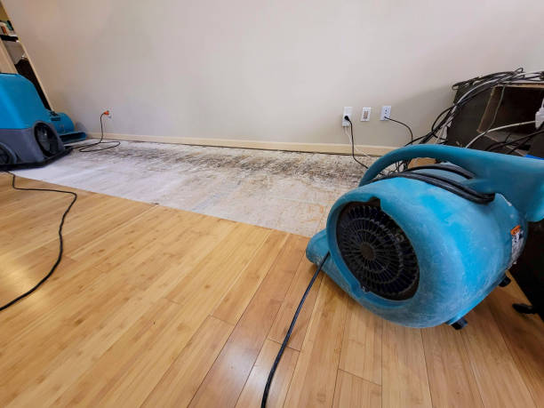 Professional Sewage Cleanup technician working in Lawrenceville, GA